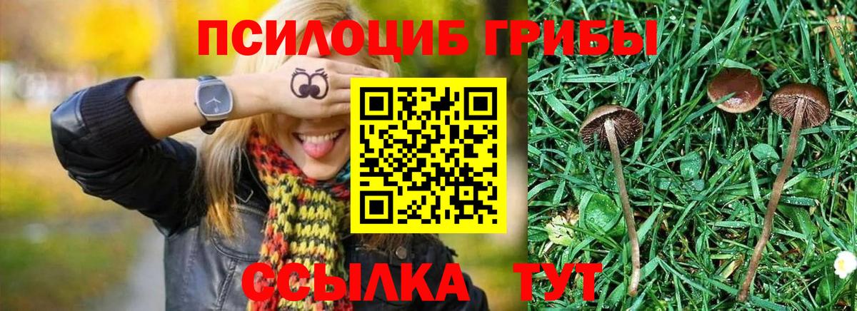 Псилоцибиновые грибы MAGIC MUSHROOMS  Псилоцибиновые грибы Magic Shrooms  Советский  Вход с VPN 