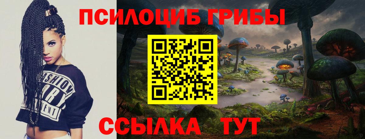 Псилоцибиновые грибы Psilocybe Советский